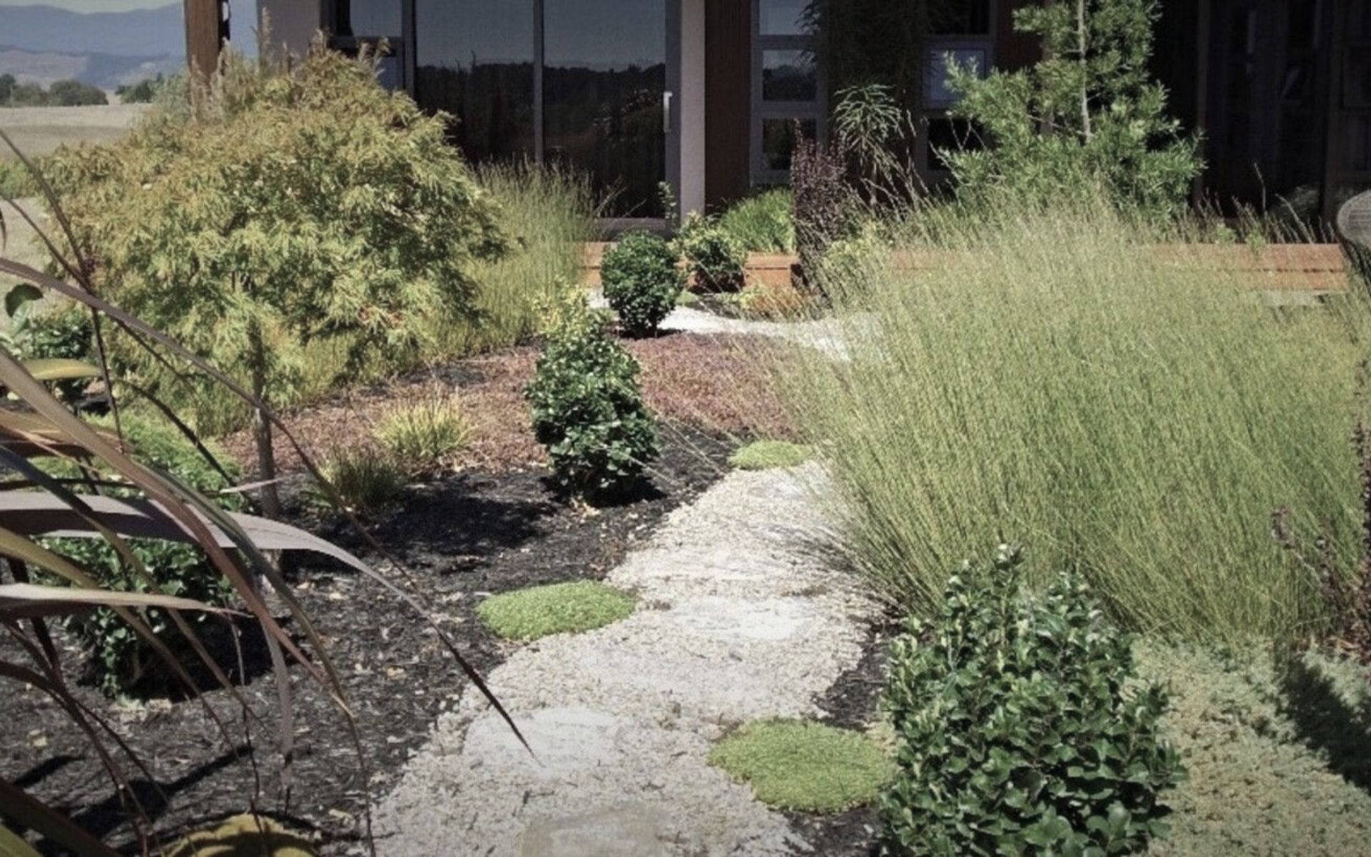 Supporting Image 4 for Sage Landscapes