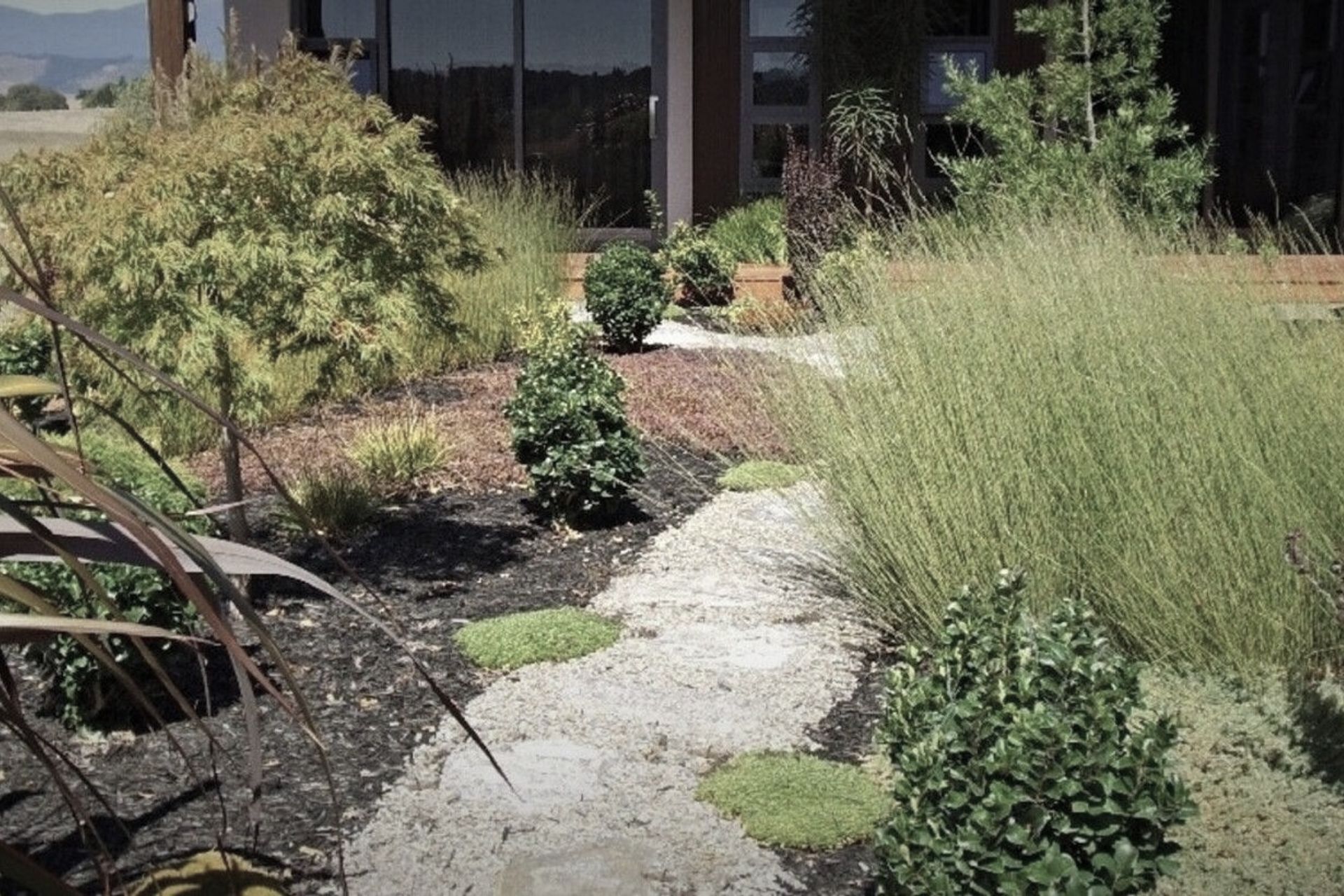 Supporting Image 4 for Sage Landscapes