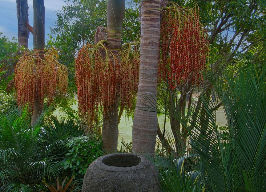 Lanzscapes