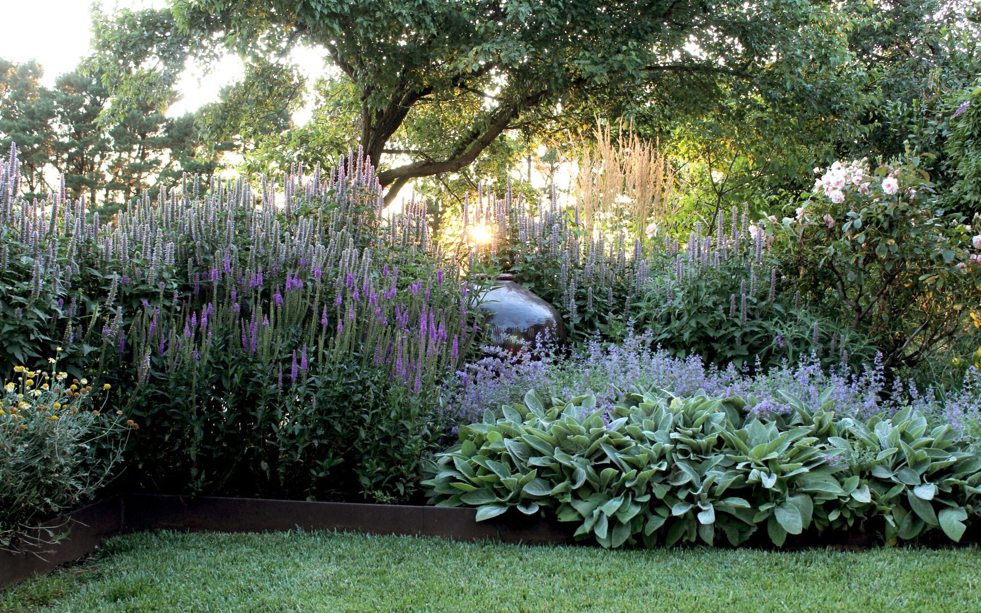 Hero Banner for Bethany Williamson Landscape Architecture