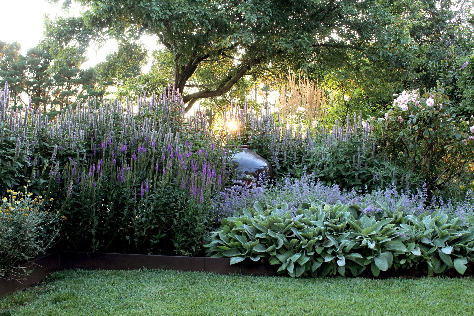 Bethany Williamson Landscape Architecture banner