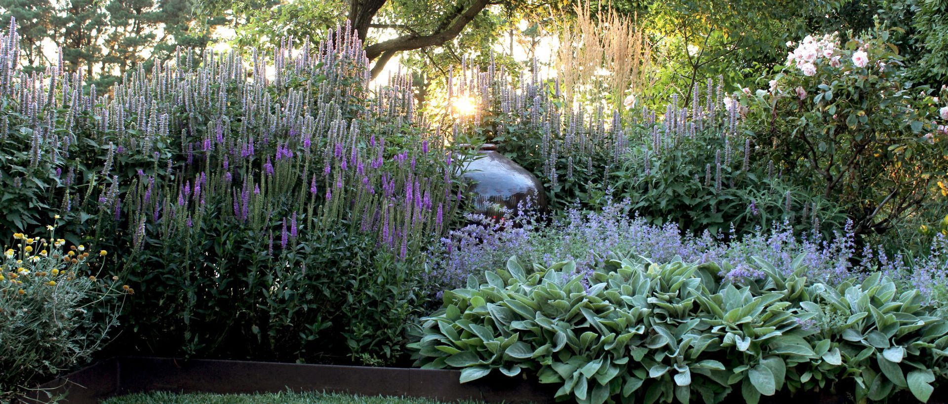 Hero Banner for Bethany Williamson Landscape Architecture