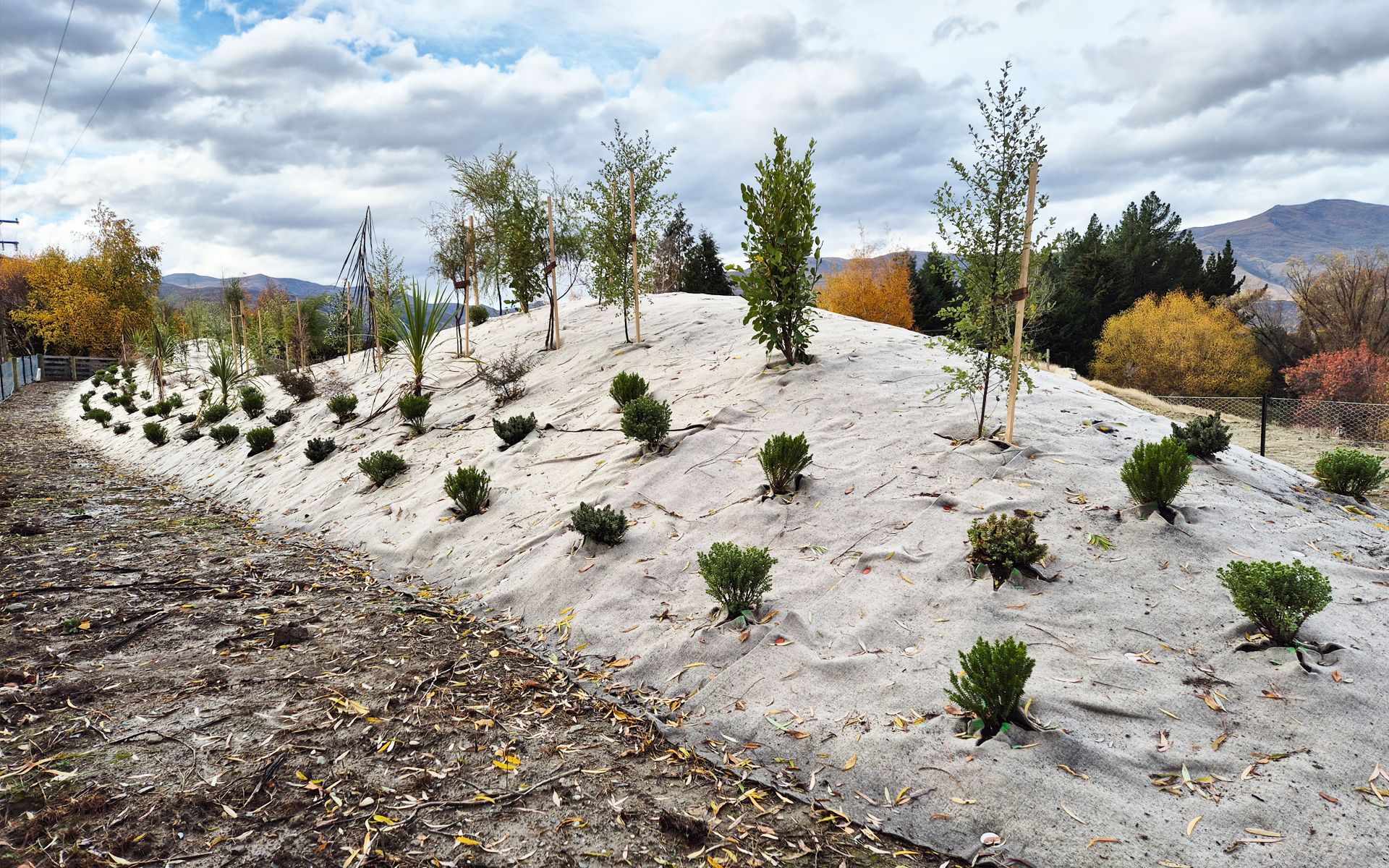 Supporting Image 2 for Advance Landscape Systems
