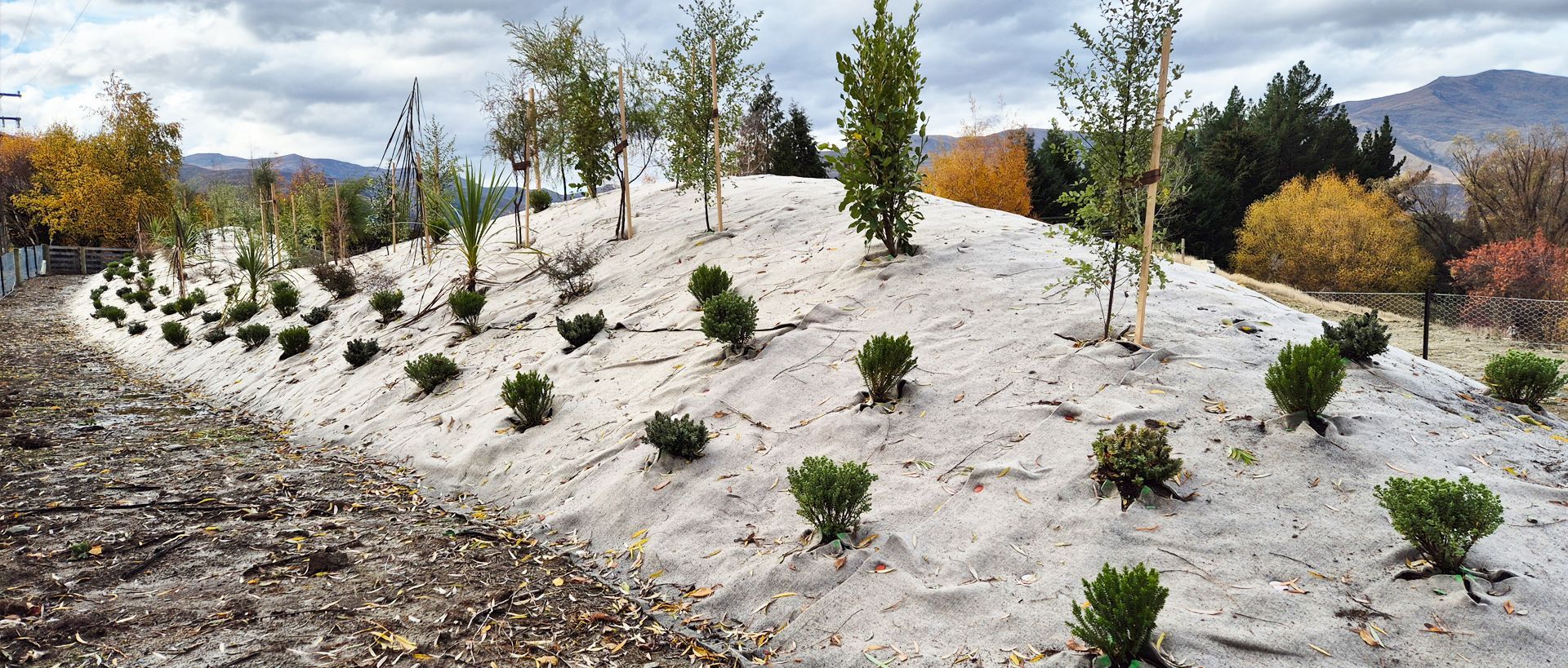 Supporting Image 2 for Advance Landscape Systems