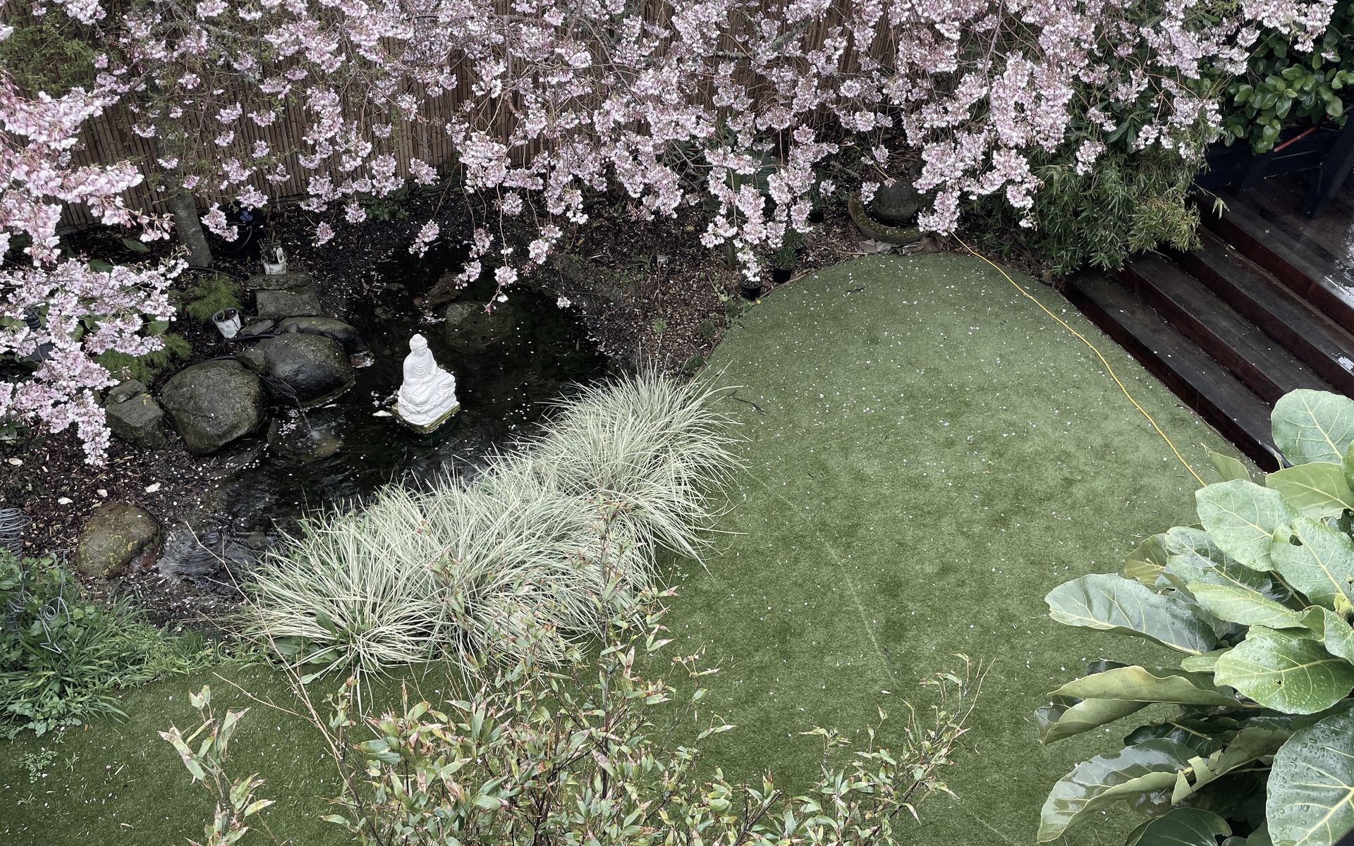 Supporting Image 1 for Lexus Landscaping