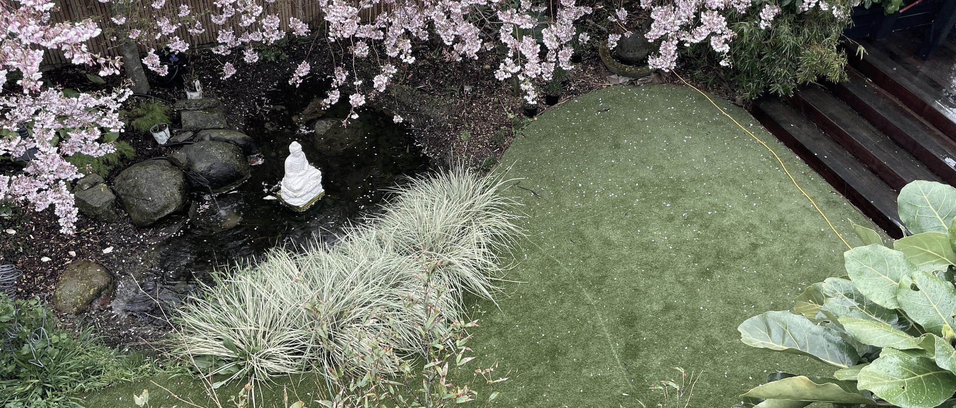 Supporting Image 1 for Lexus Landscaping