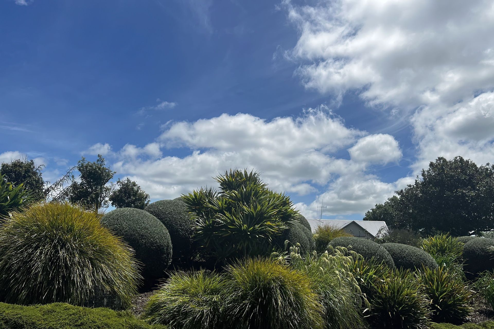 Supporting Image 2 for Landworx Hamilton