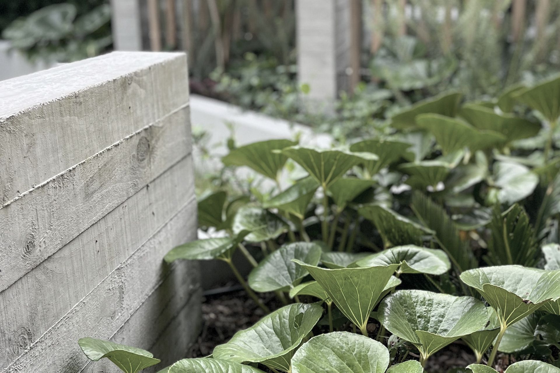 Supporting Image 2 for Anna Pepper Design