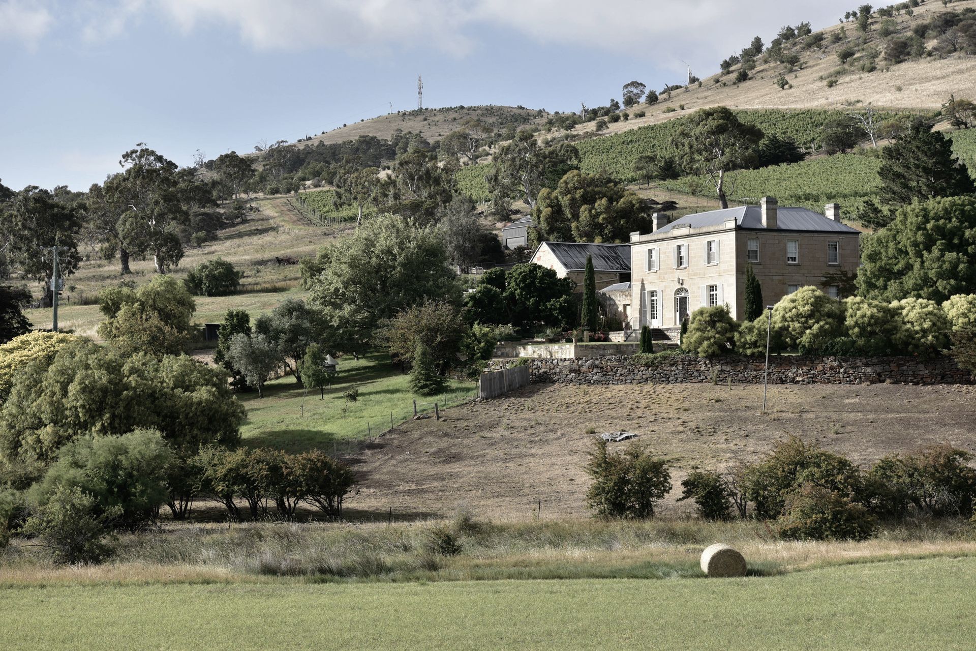 Supporting Image 1 for Lisa Harper Designs