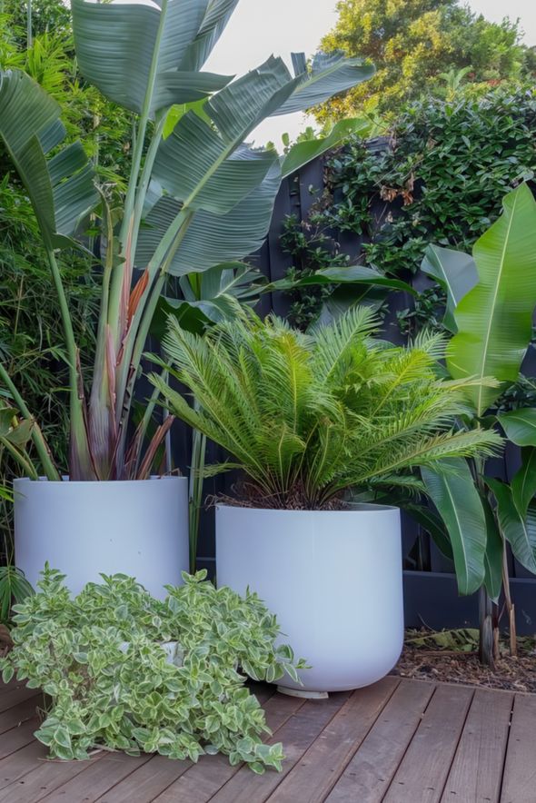 Envision Landscapes
