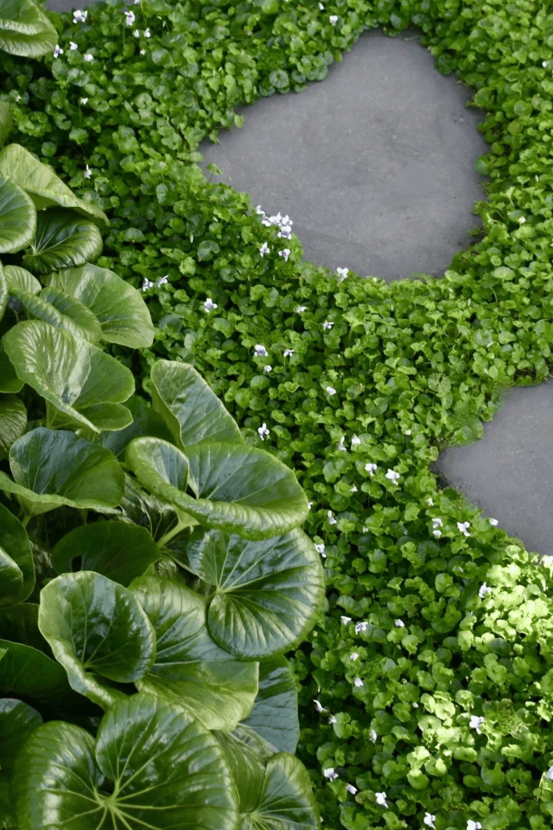 Inside Out Garden Design