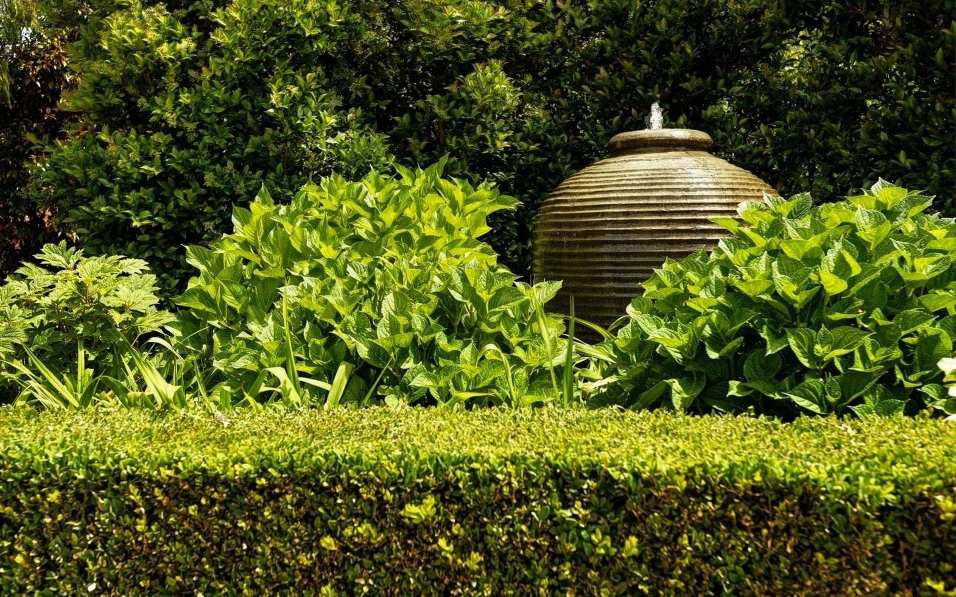 Supporting Image 5 for AQL Landscape Design