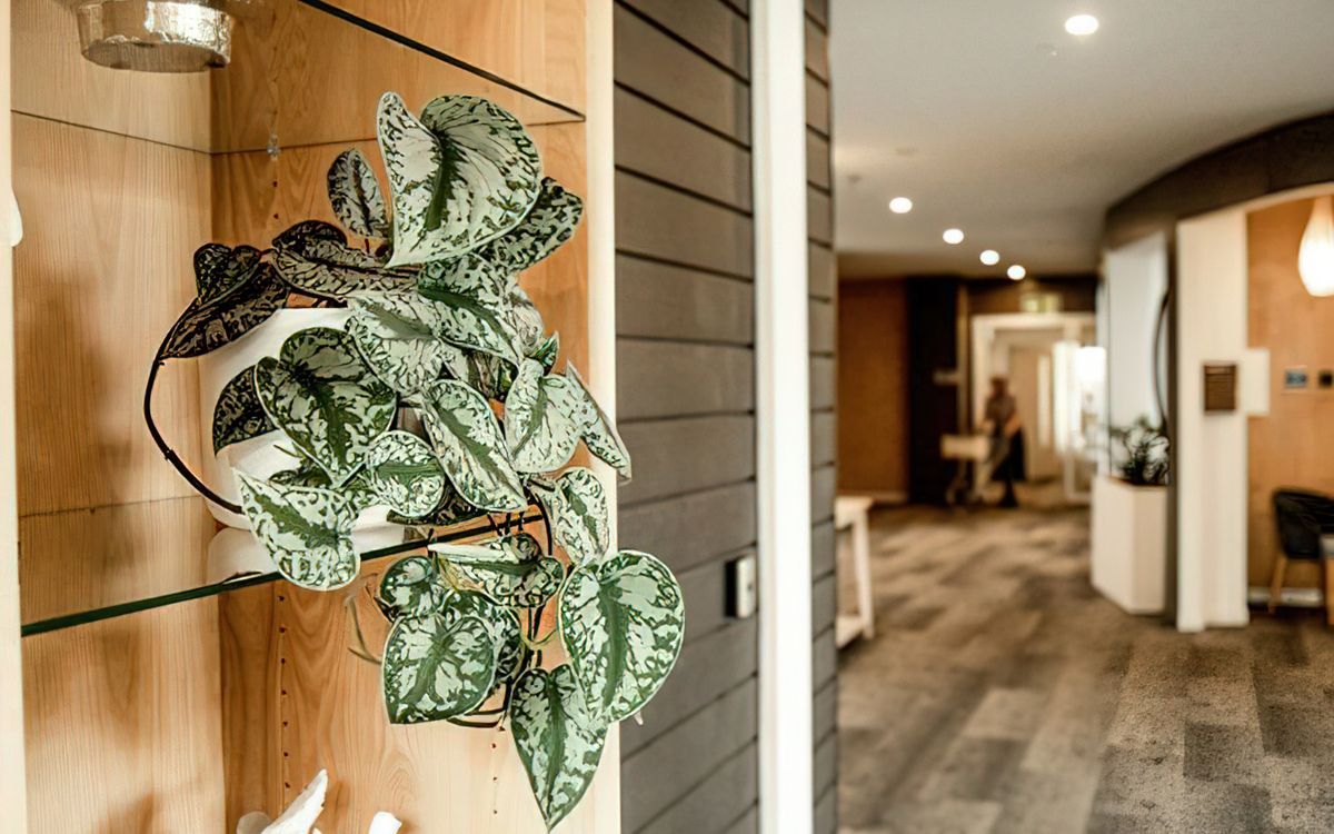 Grasshopper Gardens banner