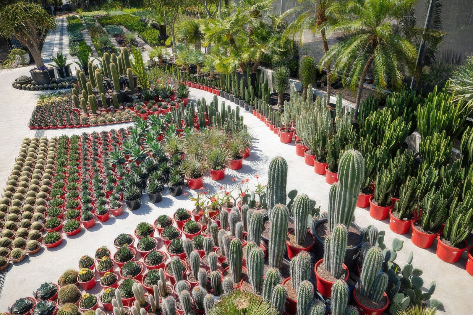 Exotic Nurseries