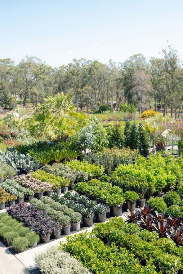 Exotic Nurseries