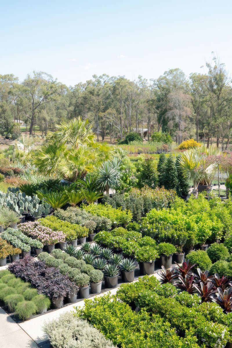 Exotic Nurseries
