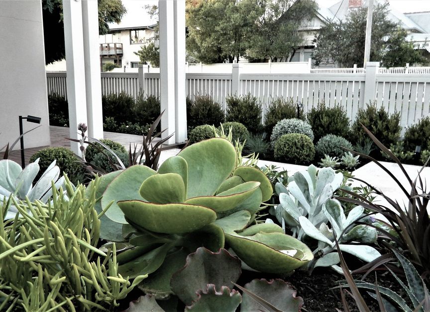 Anthony Scott Landscape Design