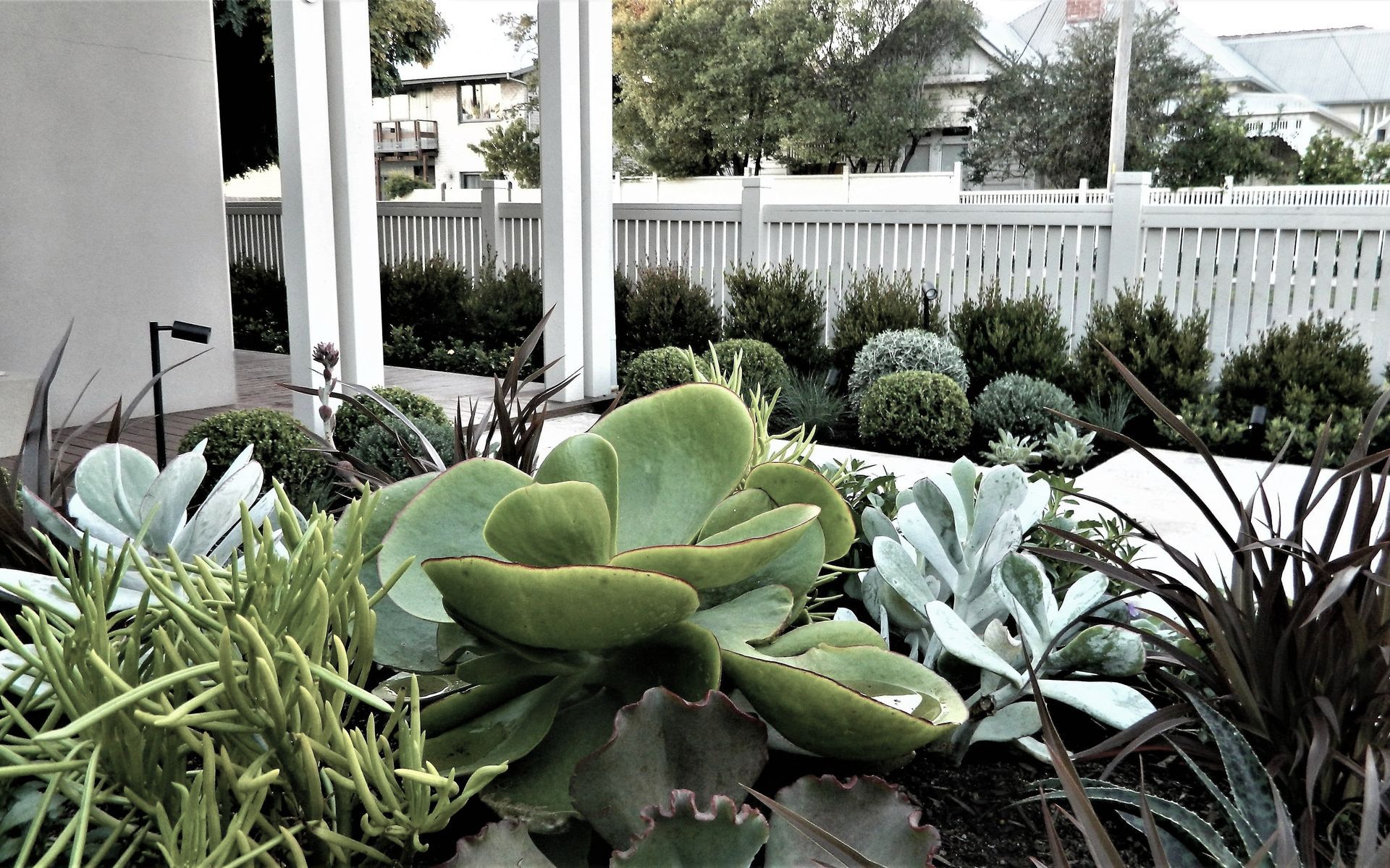 Hero Banner for Anthony Scott Landscape Design