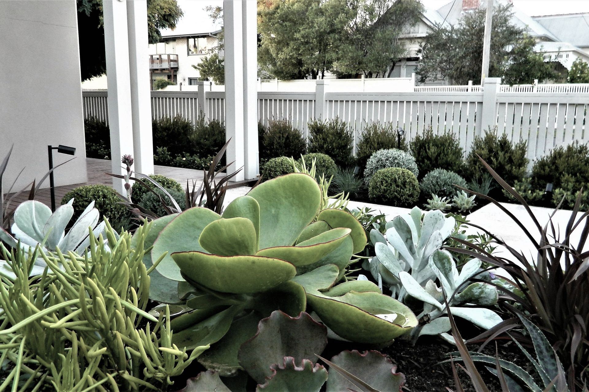 Hero Banner for Anthony Scott Landscape Design