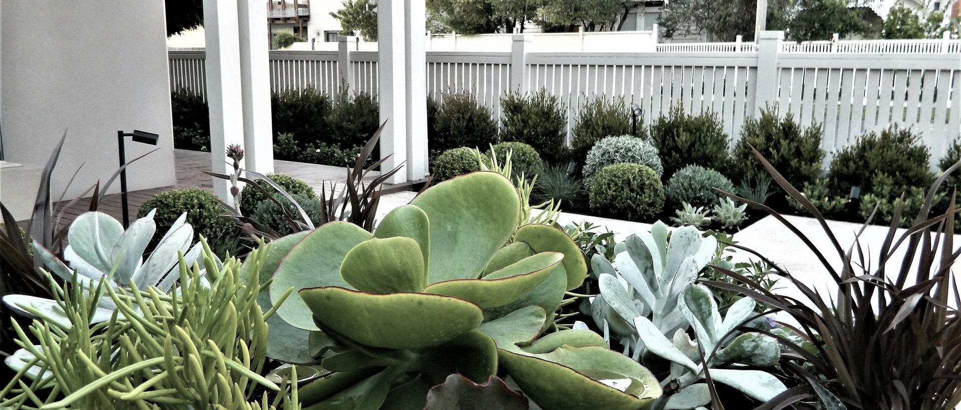 Hero Banner for Anthony Scott Landscape Design