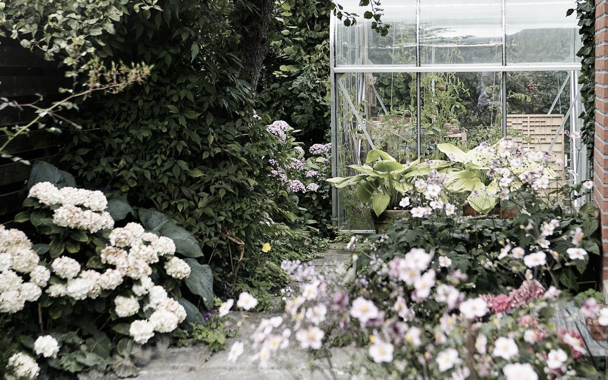 Supporting Image 1 for Outdoor Designs