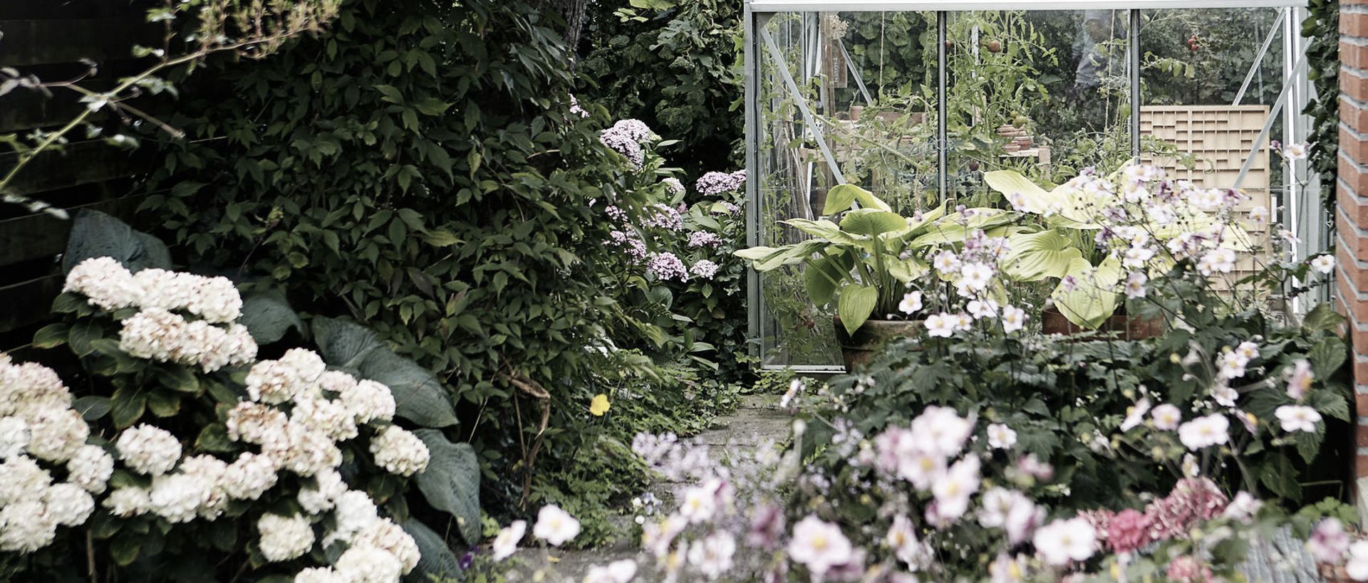 Supporting Image 1 for Outdoor Designs