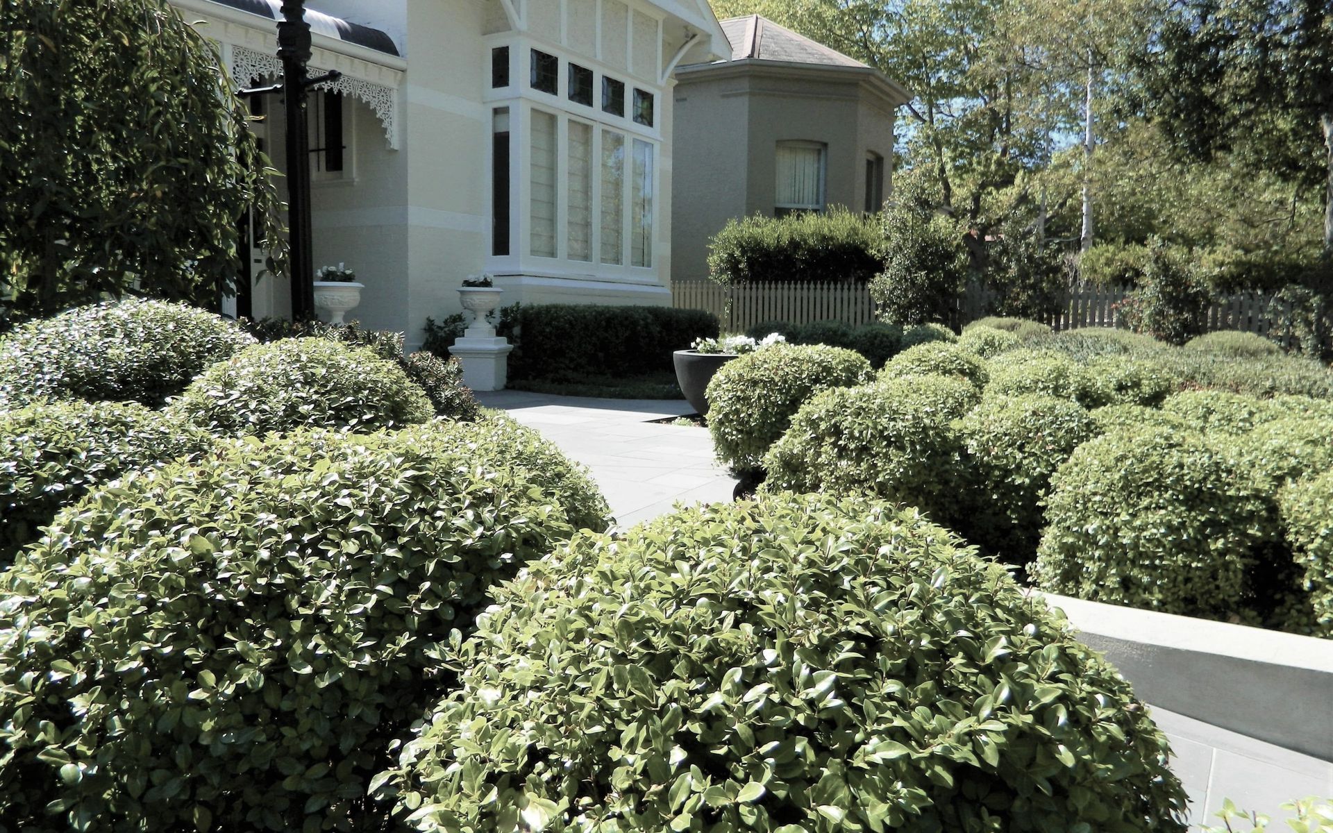 Supporting Image 3 for Anthony Scott Landscape Design