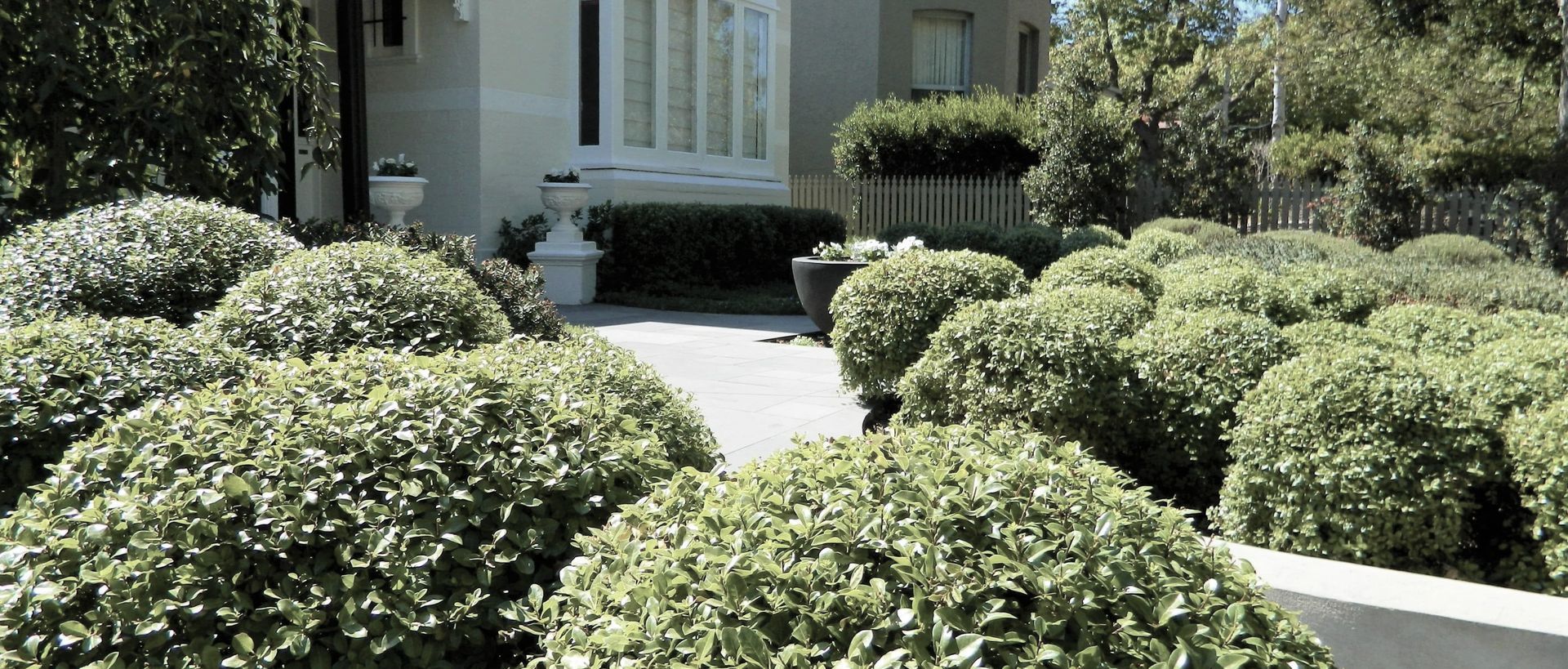 Supporting Image 3 for Anthony Scott Landscape Design