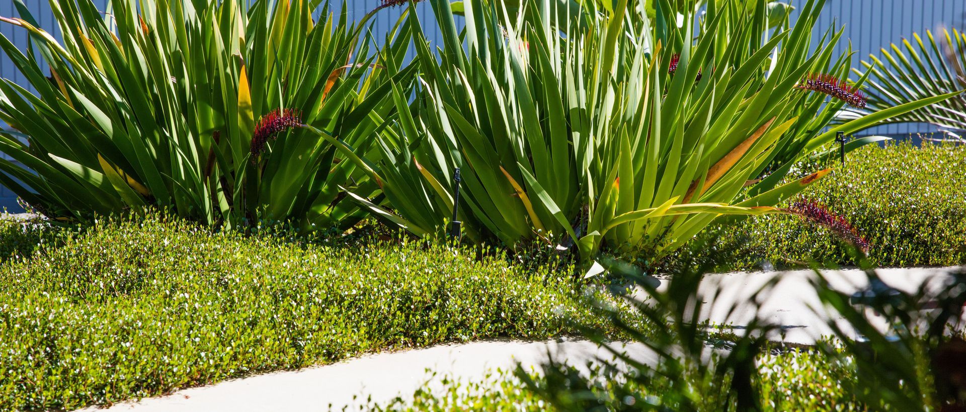 Supporting Image 5 for Sculpt Gardens