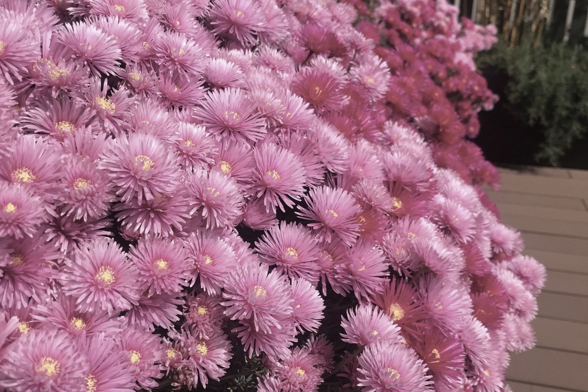 Hero Banner for Outdoor Designs