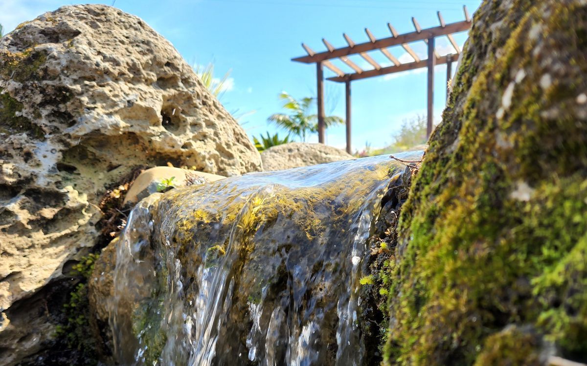 Local Landscapes banner