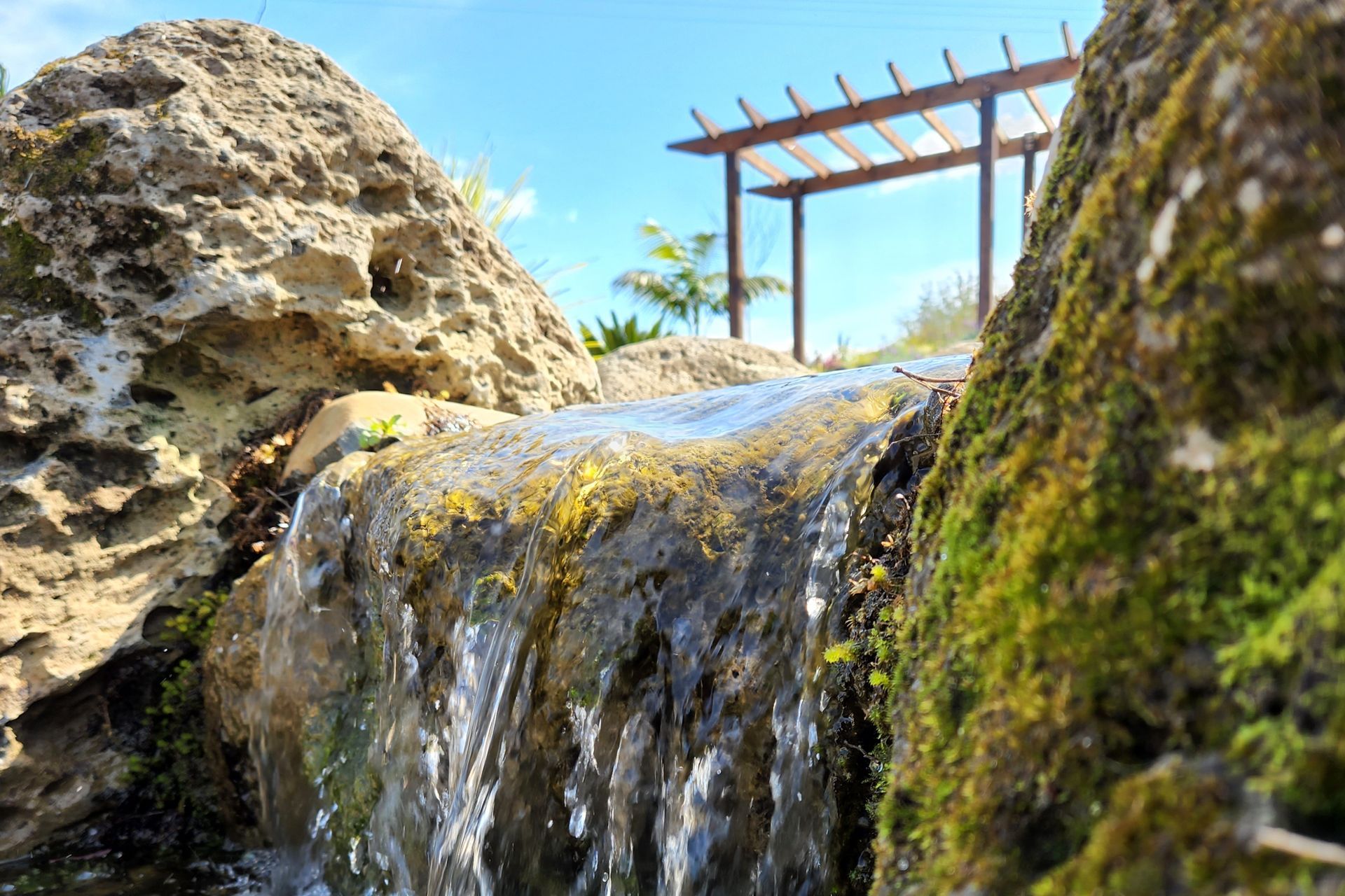 Local Landscapes banner