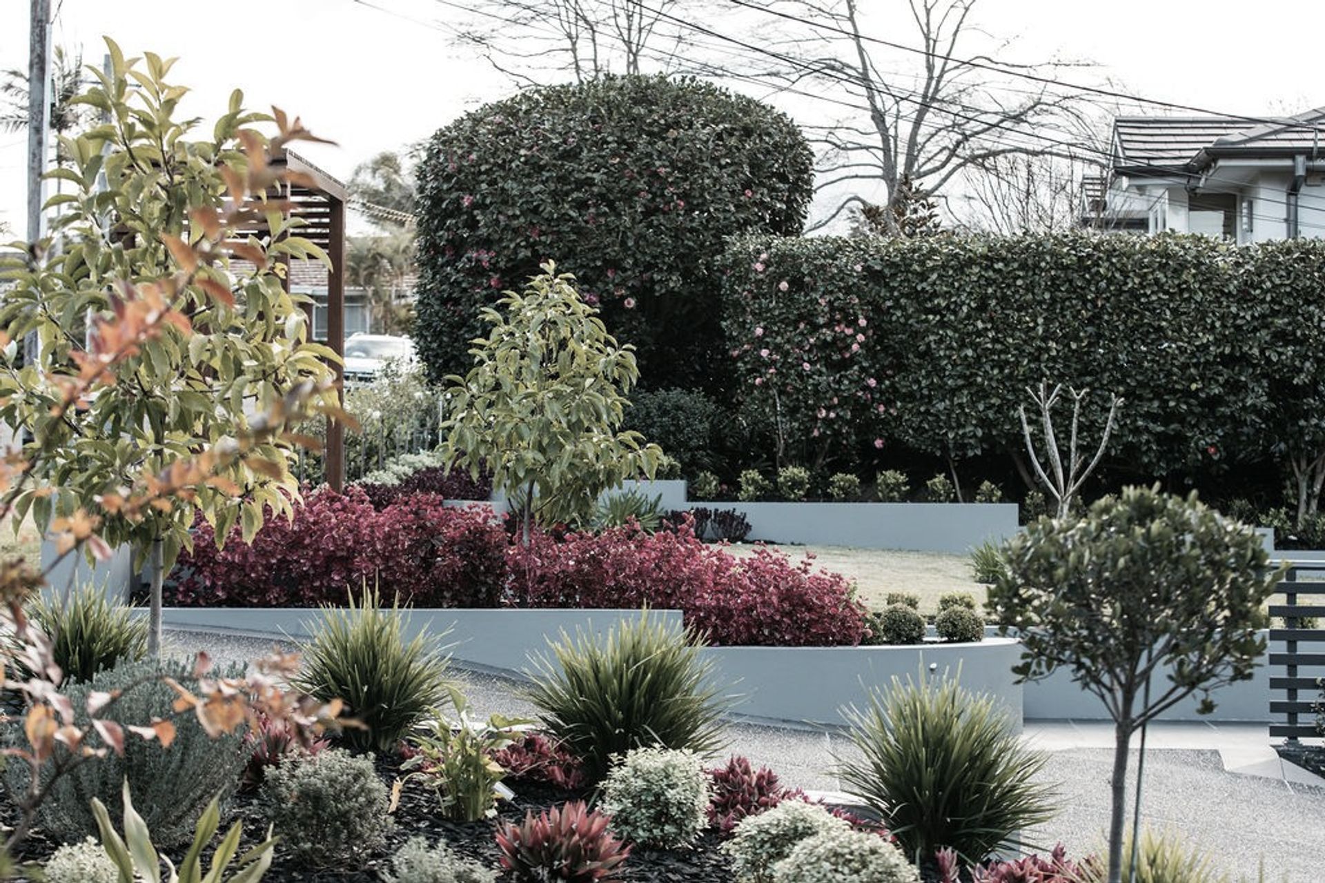 Supporting Image 3 for Blue Sky Landscaping