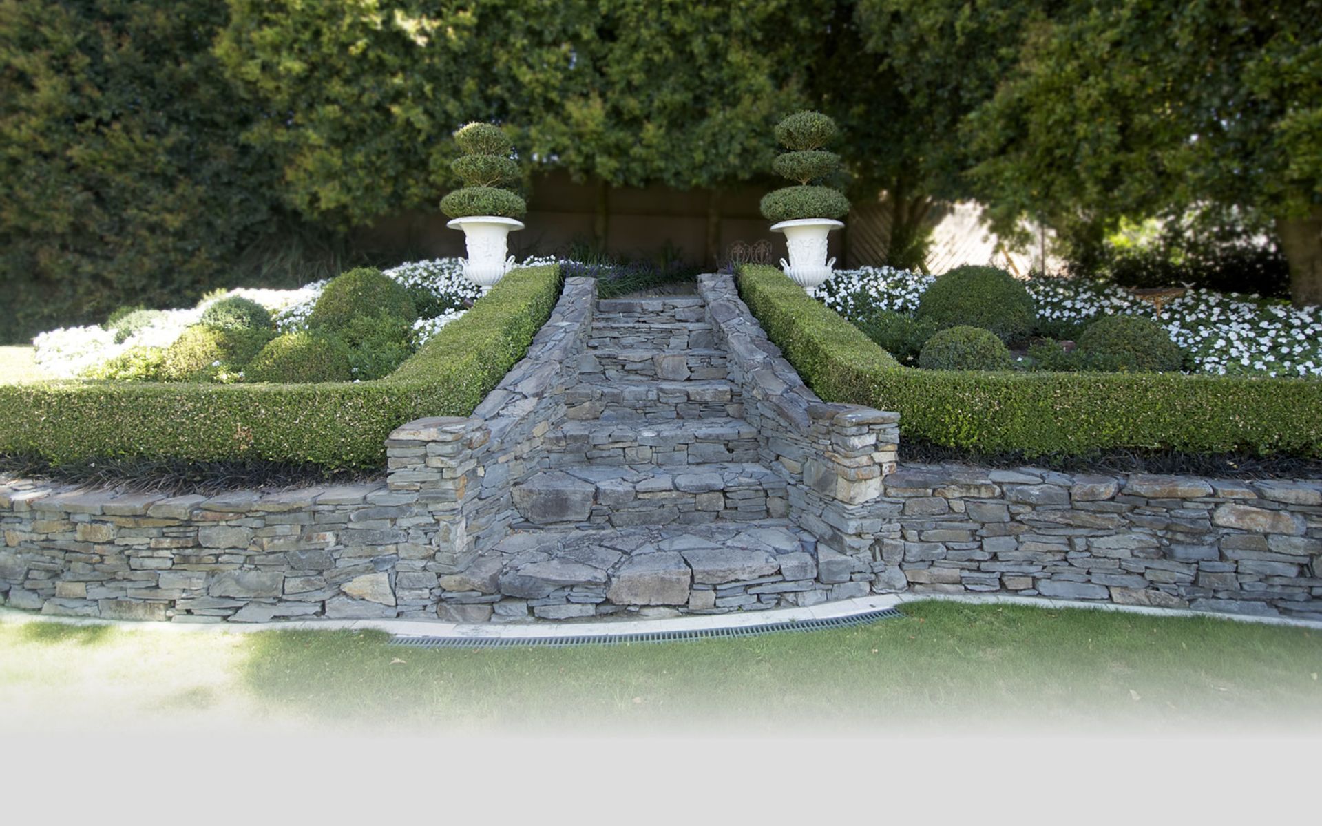 Hero Banner for The Landscape Design Studio Ltd