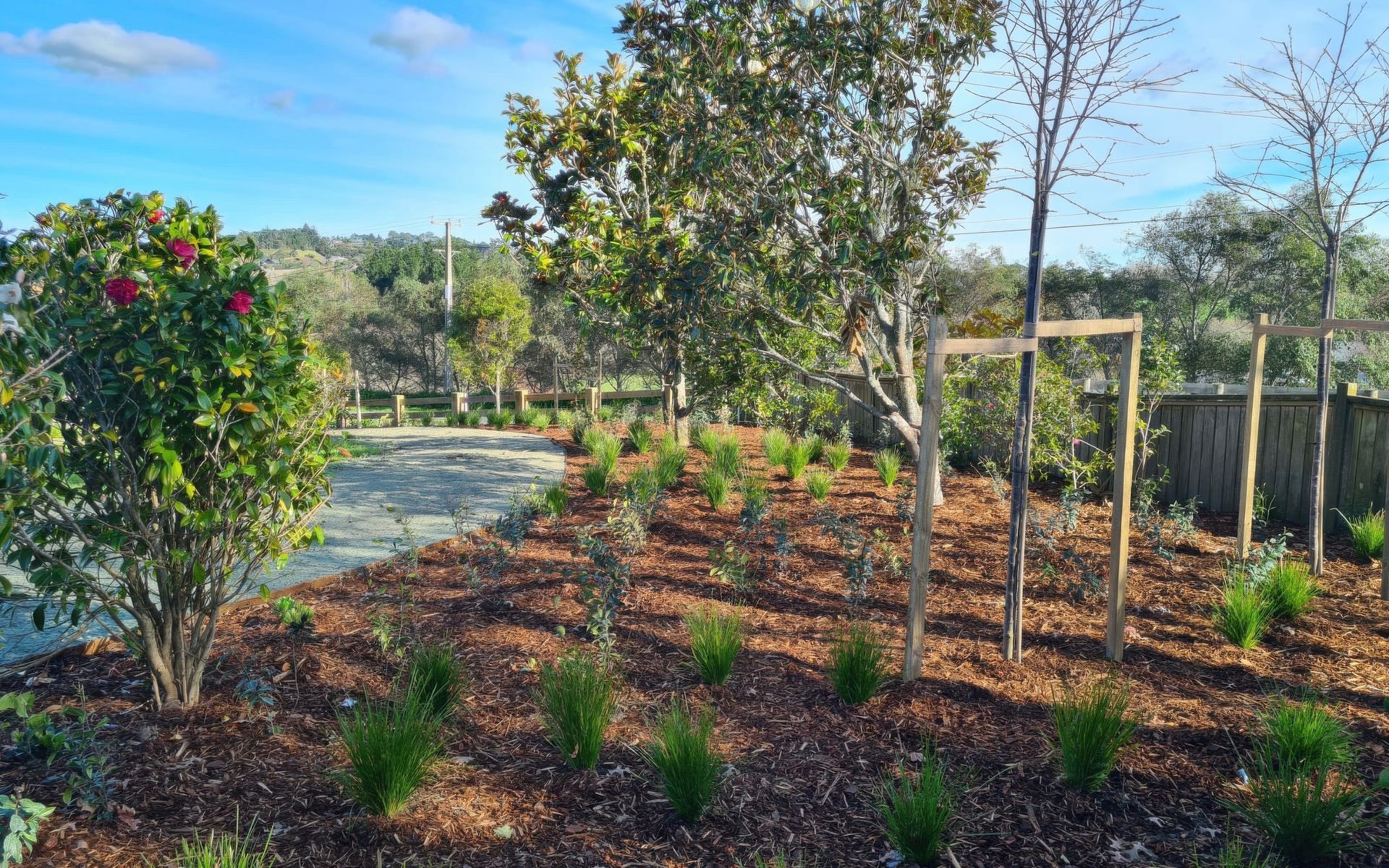 Supporting Image 6 for Vida Landscape Solutions