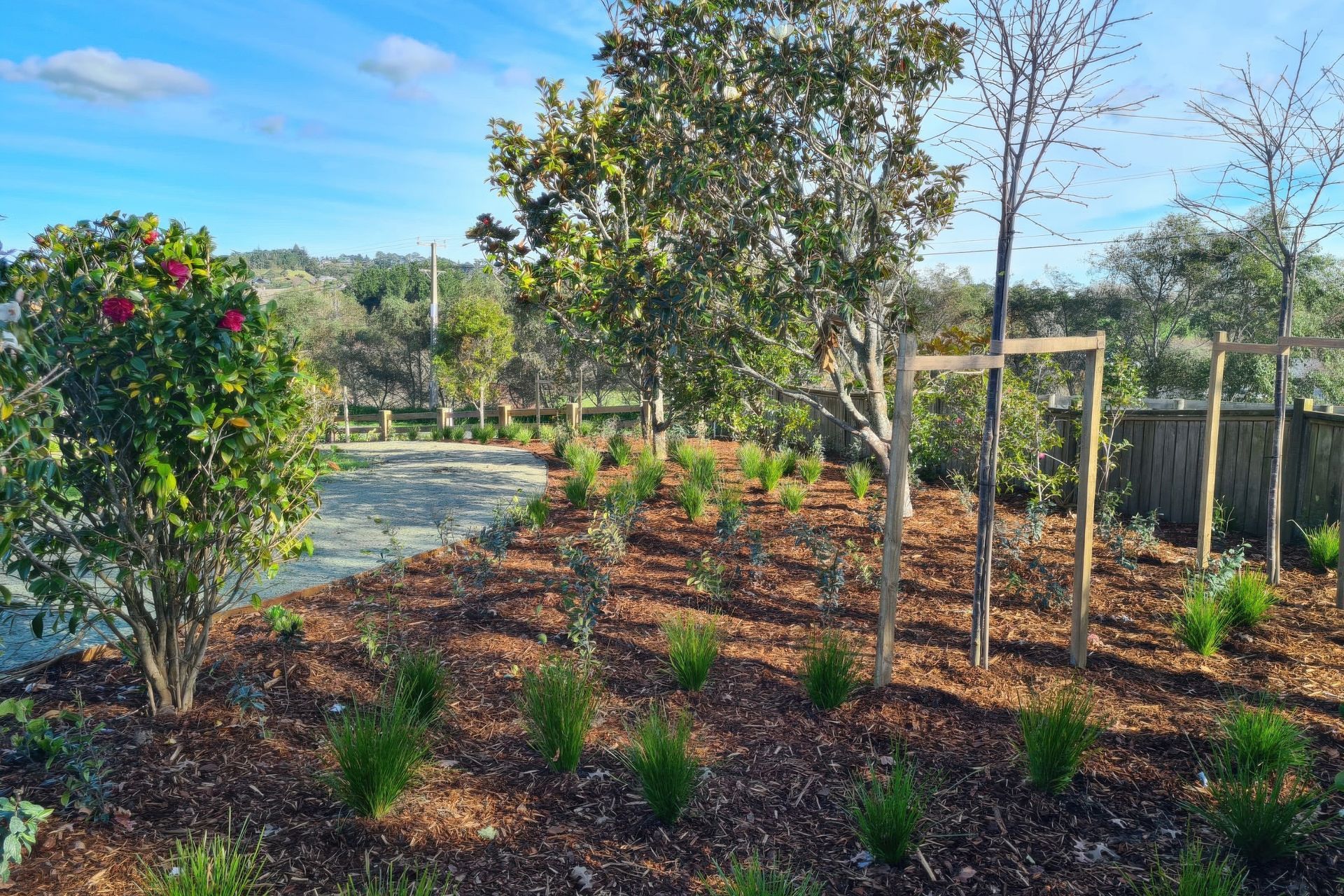 Supporting Image 6 for Vida Landscape Solutions