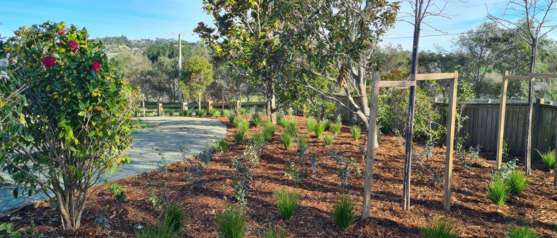Supporting Image 6 for Vida Landscape Solutions