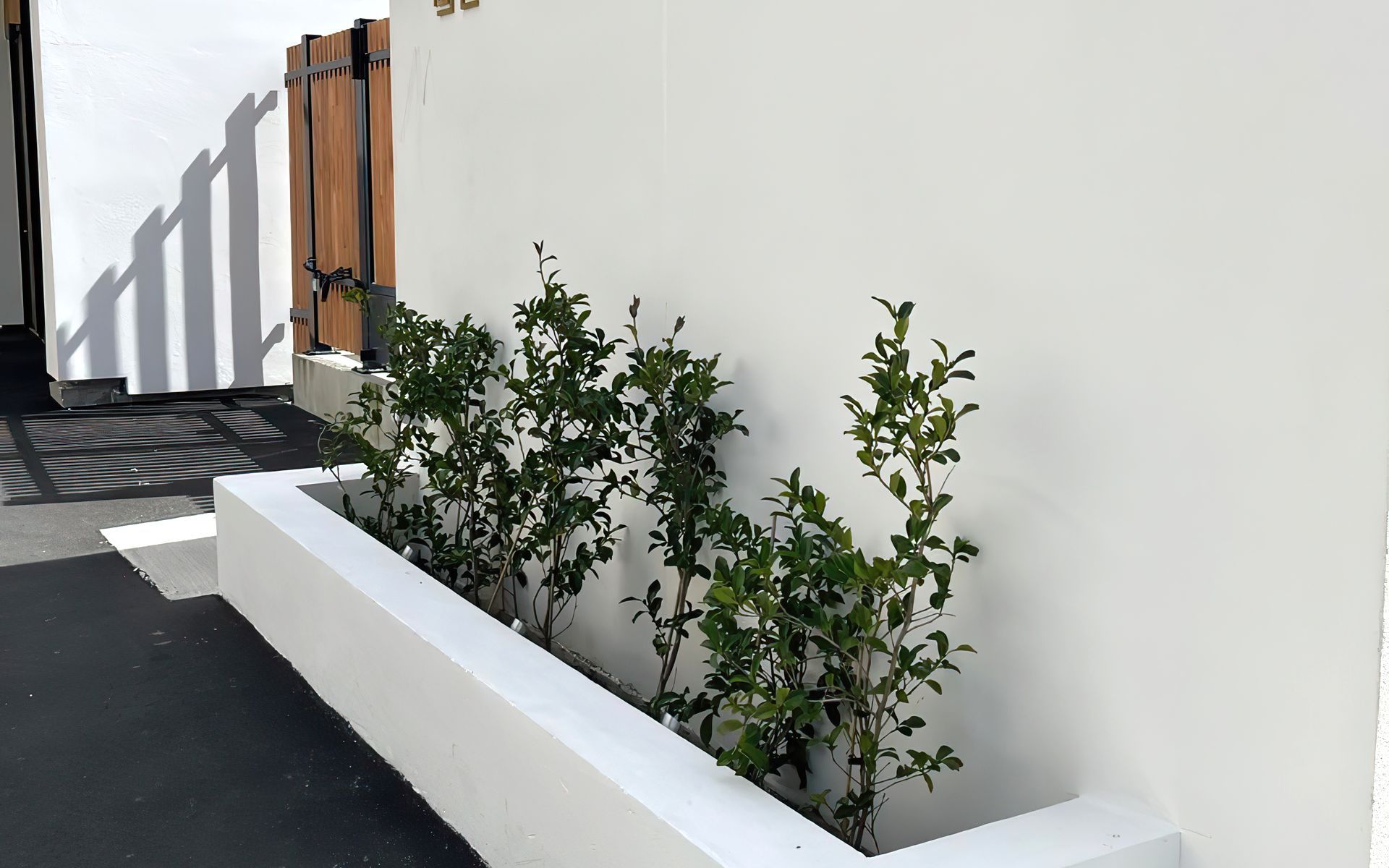 Supporting Image 4 for Three Trees Landscaping