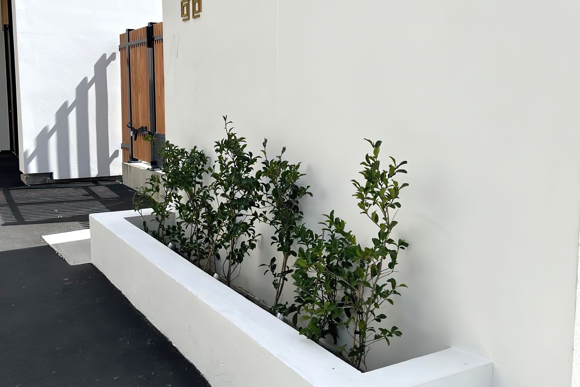 Supporting Image 4 for Three Trees Landscaping