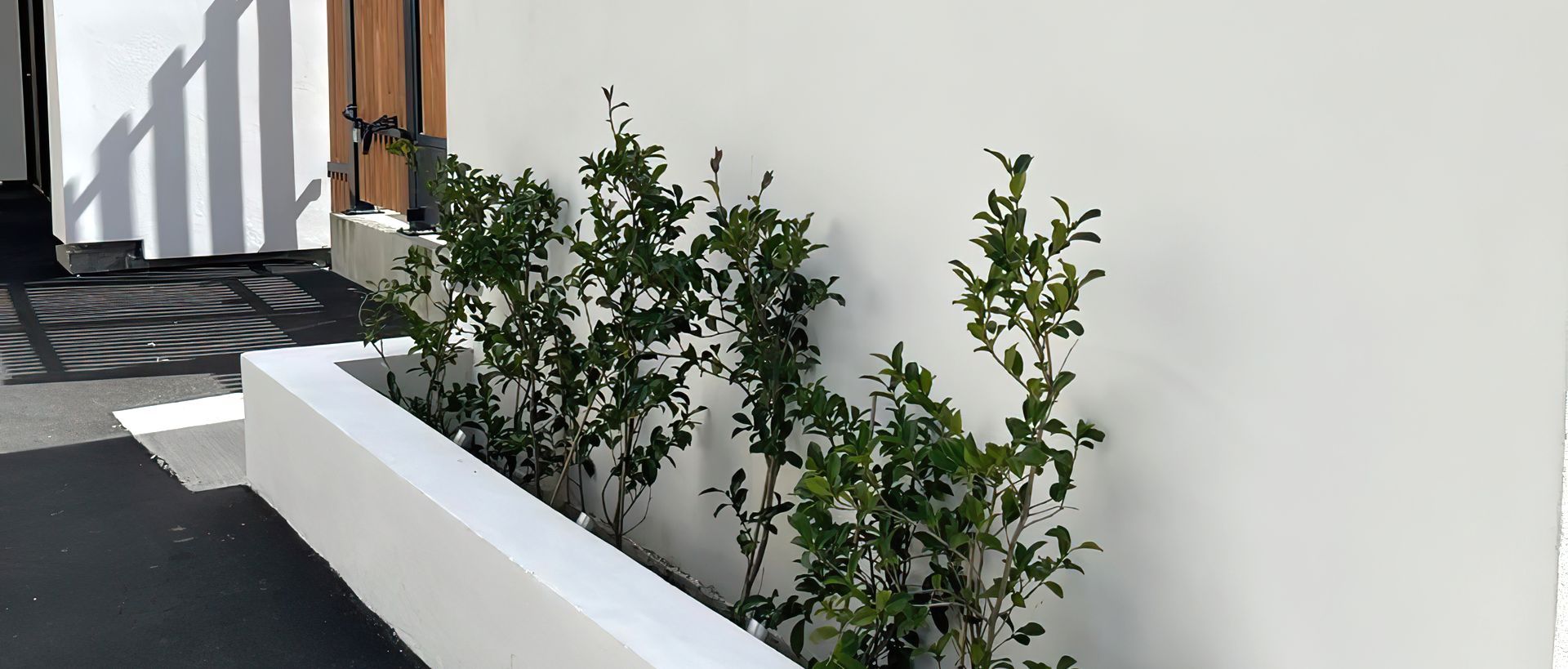 Supporting Image 4 for Three Trees Landscaping