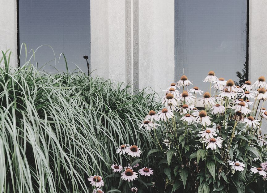 URBIS Landscapes