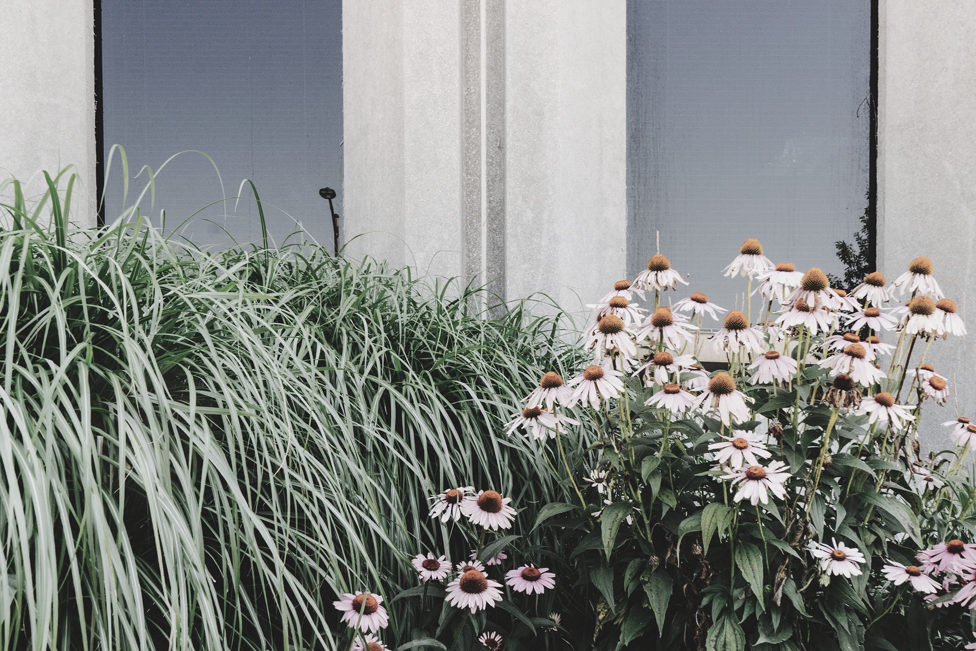 Hero Banner for URBIS Landscapes