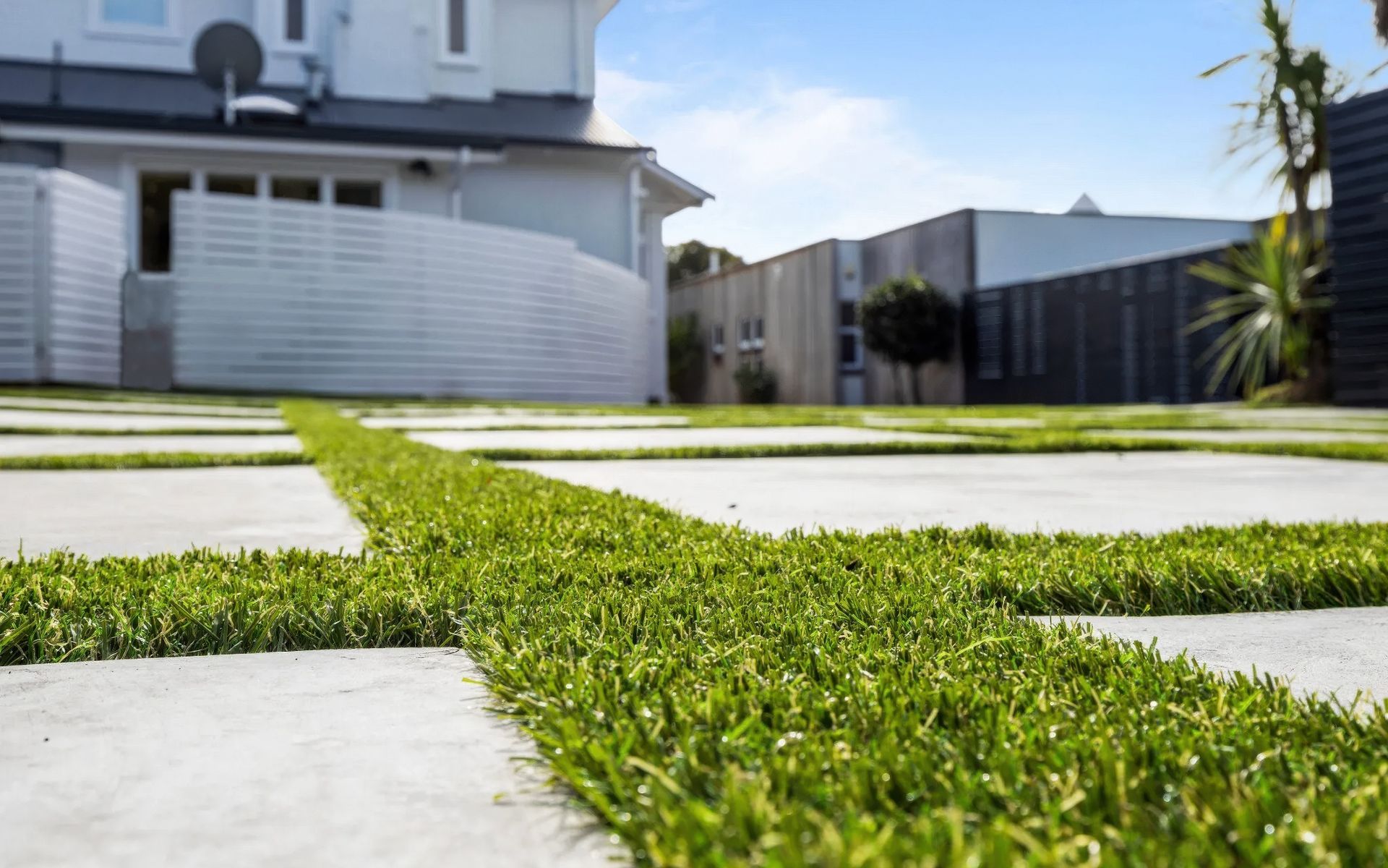 Supporting Image 2 for Eco Lawn