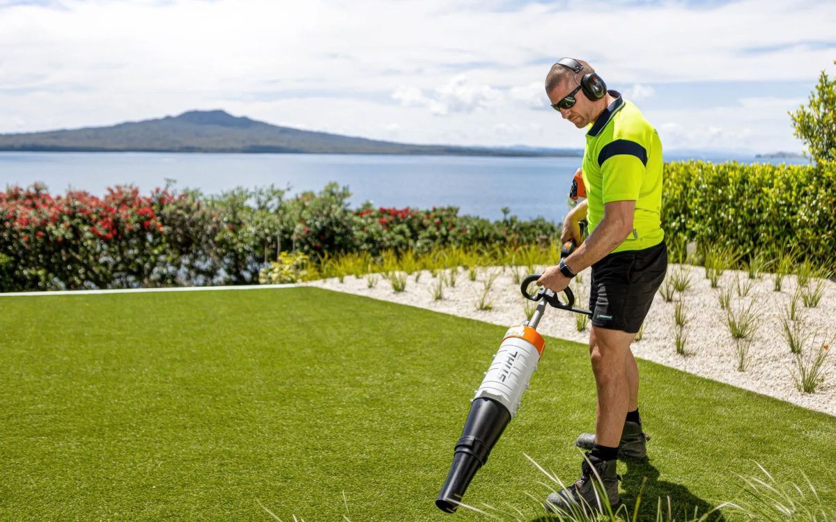 Supporting Image 6 for Eco Lawn