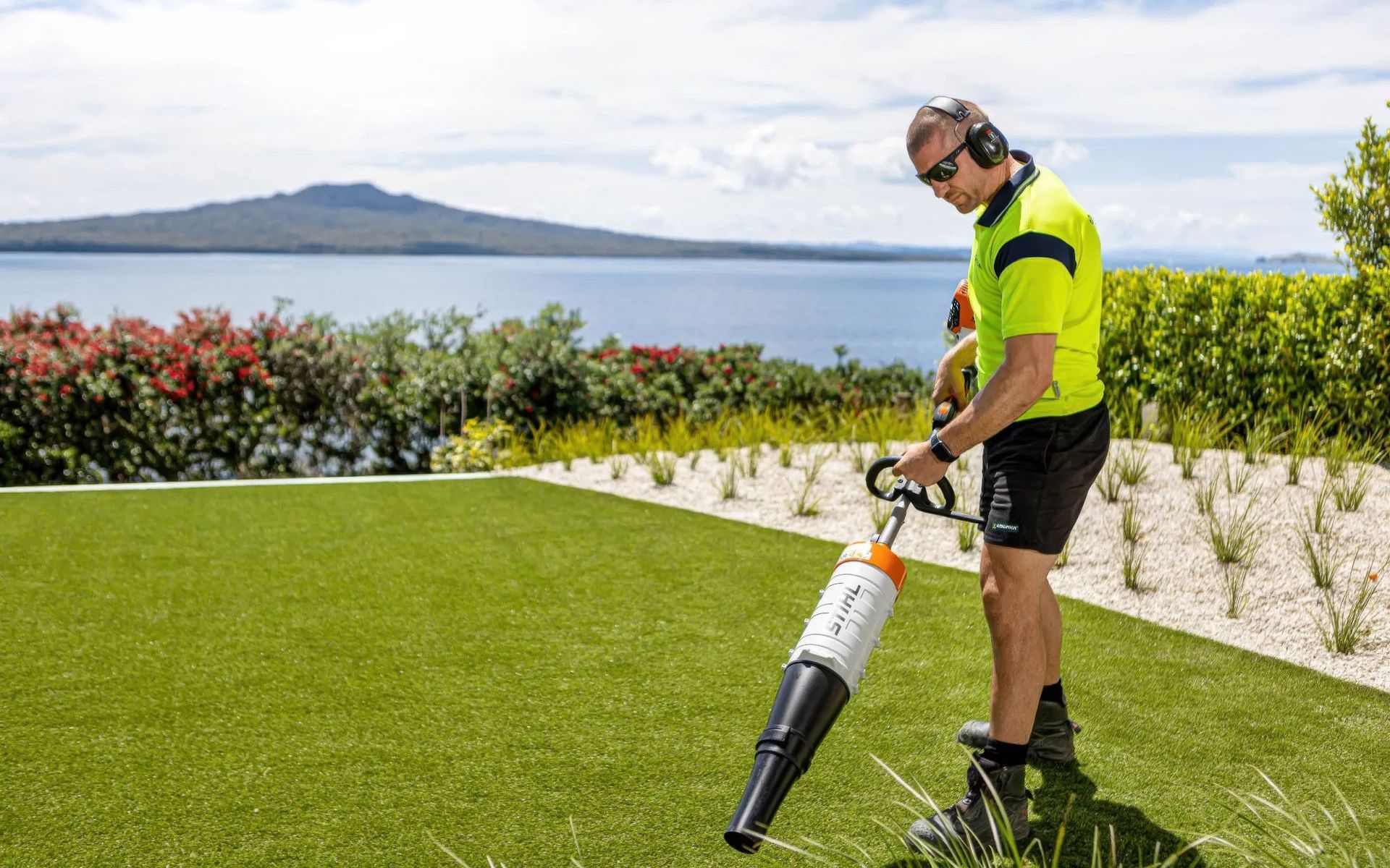 Supporting Image 6 for Eco Lawn