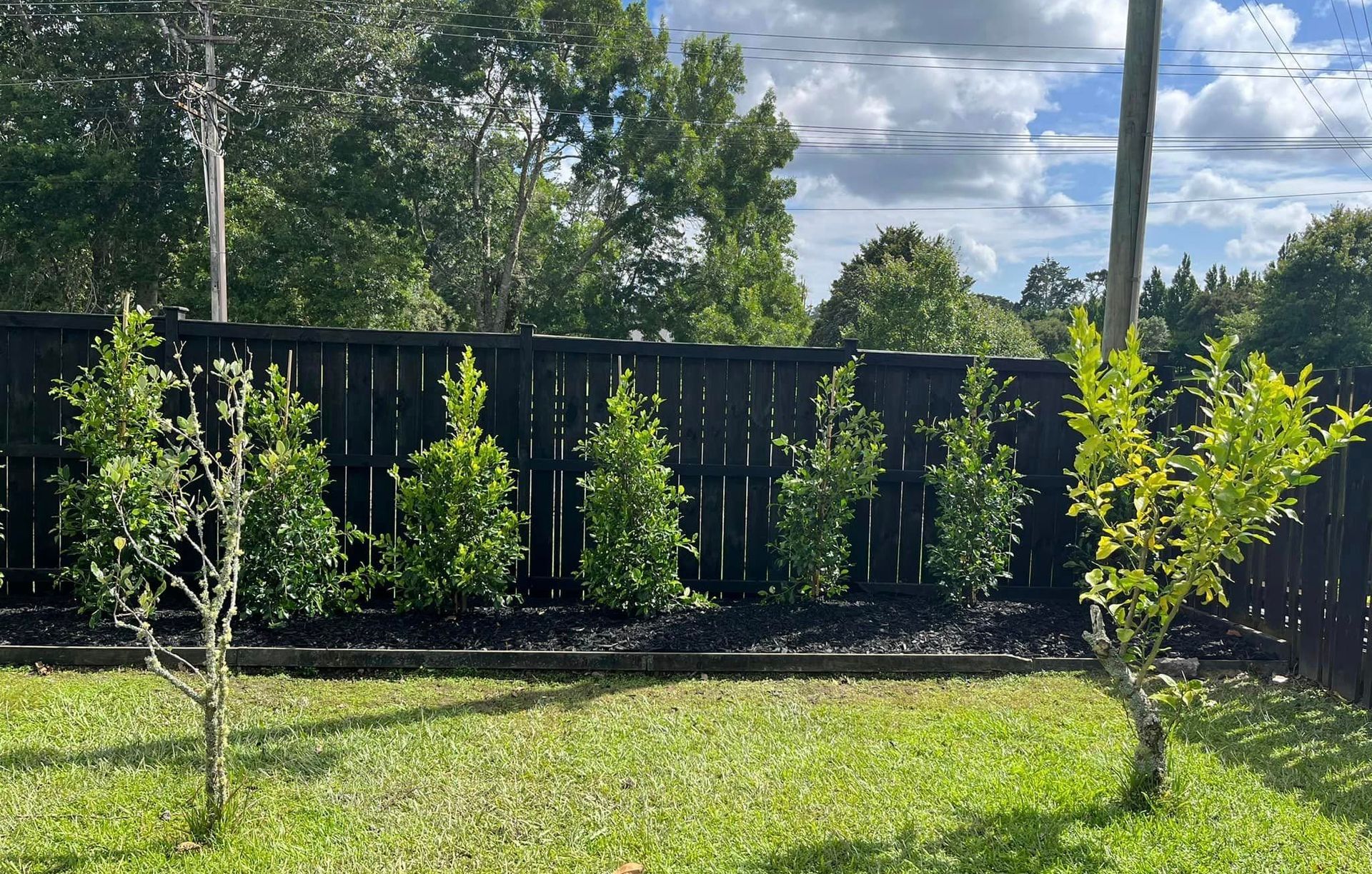 Green Gecko Gardens