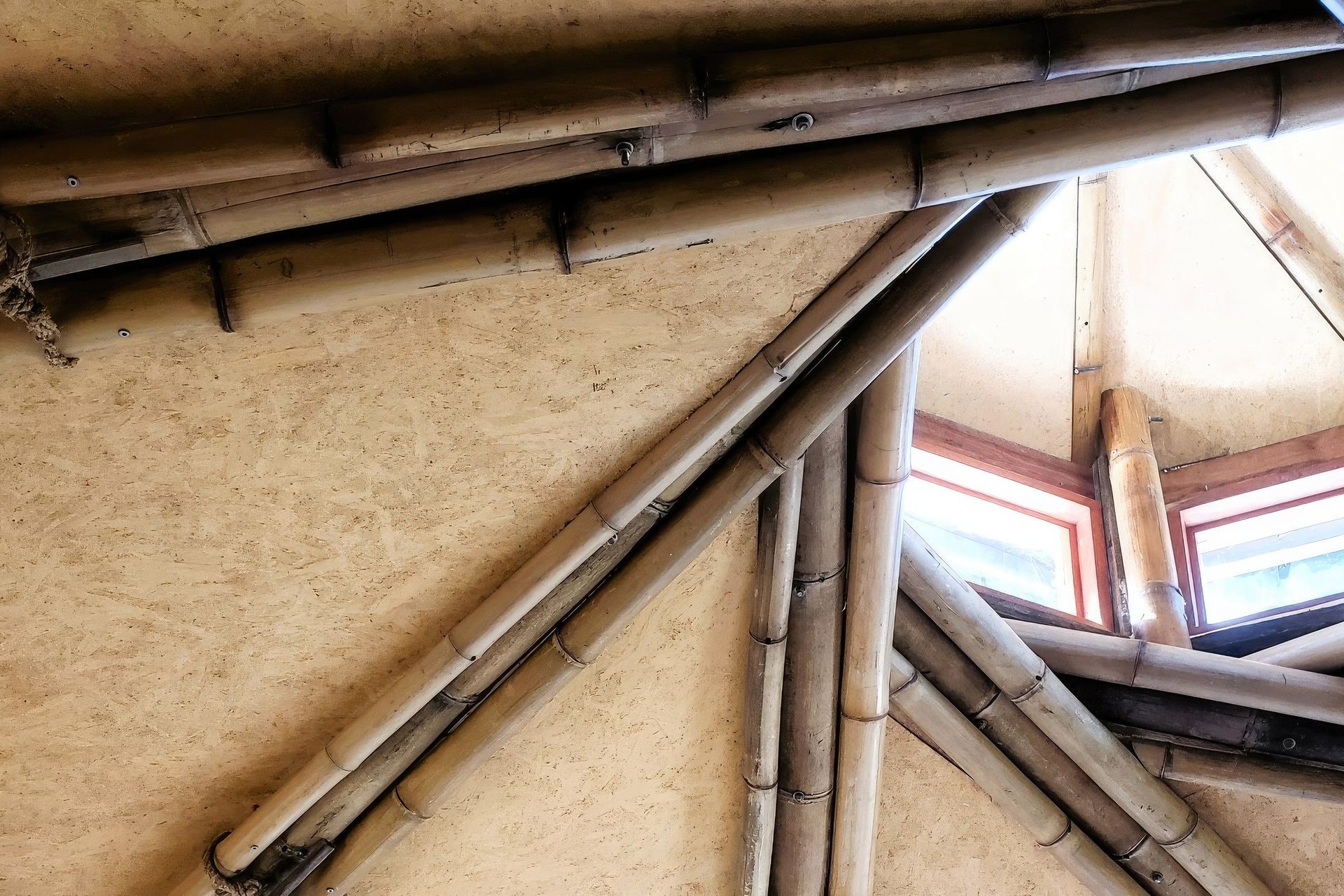 Supporting Image 2 for Integrated Biotecture Design