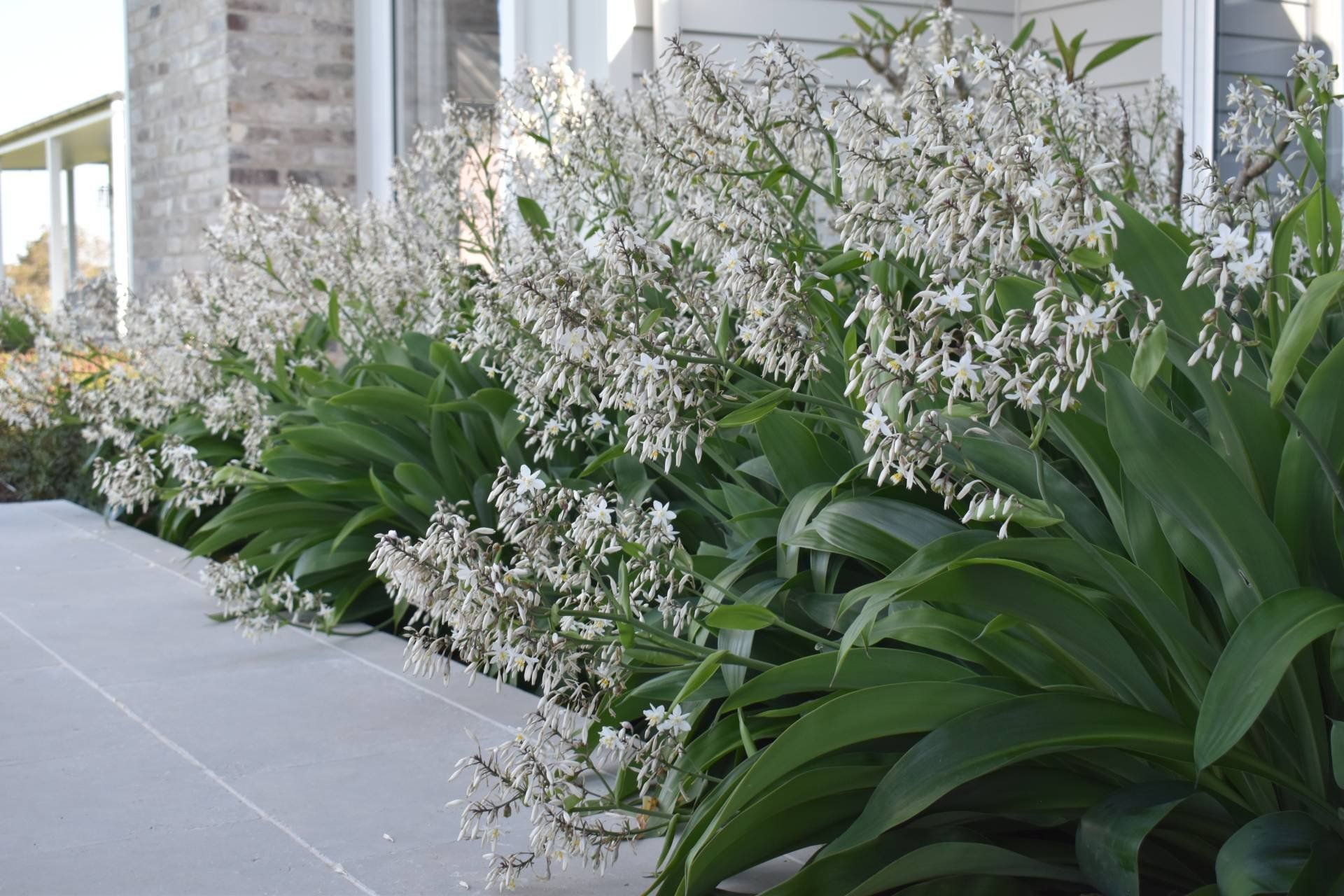 Supporting Image 4 for Inside Out Garden Design