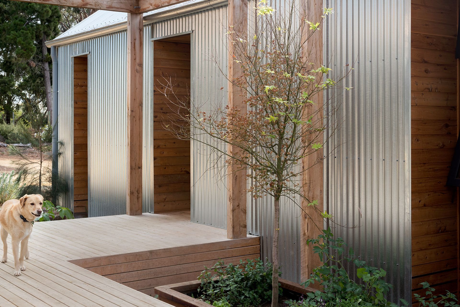 Supporting Image 7 for Sherriff Design + Build