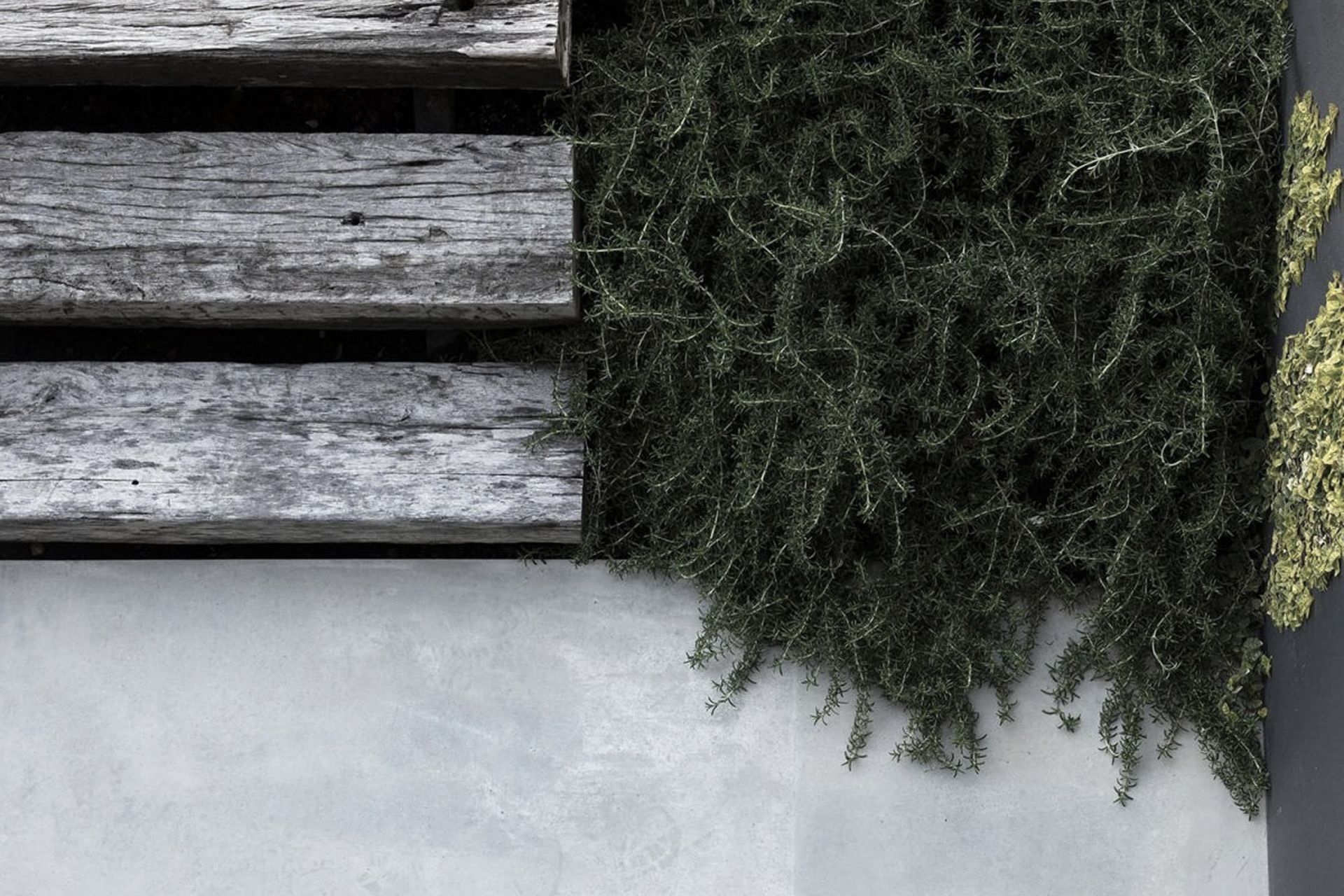 Supporting Image 6 for Landart